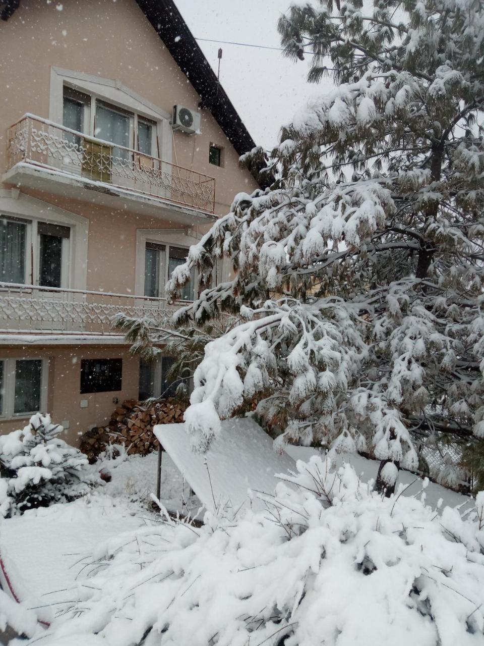 Kanjiža Hostel Bata מראה חיצוני תמונה